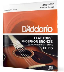 D'Addario EFT13 Resophonic Flat Tops Phosphor Bronze Medium 16/56 в Москве c доставкой