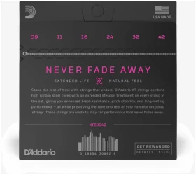 D'Addario XTE0942 XT Nickel Plated Steel 09/42 в Москве c доставкой