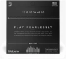 D'Addario NYXL1260 NYXL Electric C-Tuning 12/60 в Москве c доставкой
