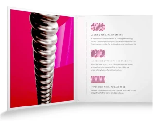 D'Addario XSE0942 XS Nickel Plated Steel 09/42 в Москве c доставкой