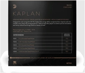 D'Addario KS610 Bass Solo Kaplan 3/4M в Москве c доставкой