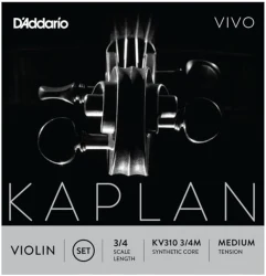 D'Addario KV310 3/4M Violin Kaplan Vivo Medium Tension в Москве c доставкой
