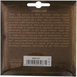 Aquila 82C Classical Guitar Ambra 800 в Москве c доставкой