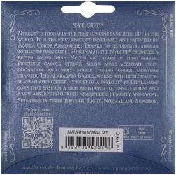 Aquila 19C Classical Guitar Alabastro в Москве c доставкой