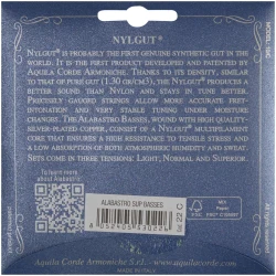 Aquila 22C Classical Guitar Alabastro в Москве c доставкой