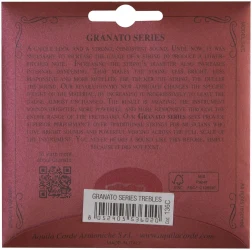 Aquila 136C Chitarra Flamenca Granato в Москве c доставкой