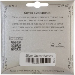 Aquila 152C Classical Guitar Silver в Москве c доставкой