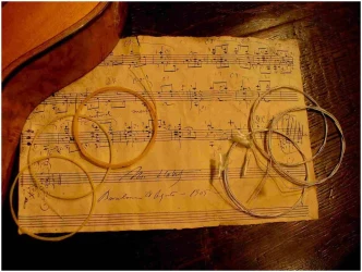 Aquila 64C Chitarra Classica Gut & Silk 900 в Москве c доставкой