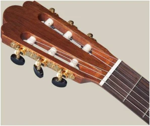 Altamira Torres в Москве c доставкой