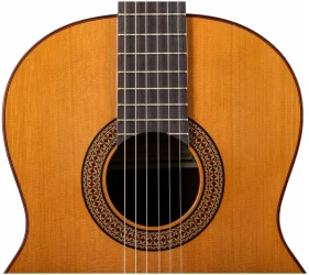 Altamira N300 7/8 в Москве c доставкой