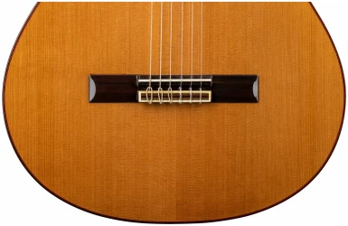 Altamira N300 7/8 в Москве c доставкой