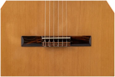 Altamira N100 в Москве c доставкой