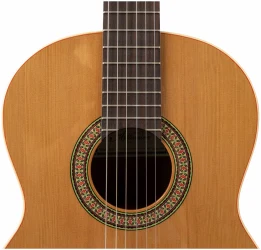 Altamira N100 в Москве c доставкой