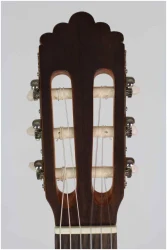 Altamira Basico в Москве c доставкой