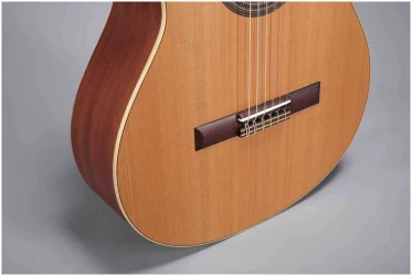 Altamira Basico в Москве c доставкой