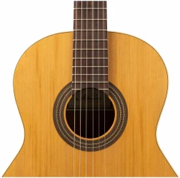 Altamira Basico в Москве c доставкой