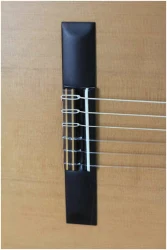 Altamira Basico в Москве c доставкой