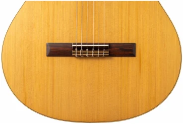 Altamira Basico в Москве c доставкой