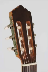 Altamira Basico в Москве c доставкой