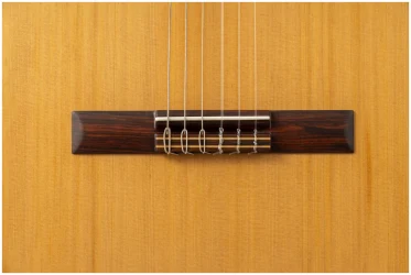 Altamira Basico в Москве c доставкой