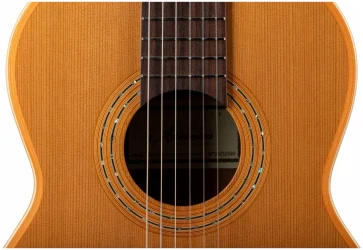 Altamira Salvador в Москве c доставкой