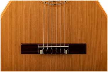 Altamira Salvador в Москве c доставкой