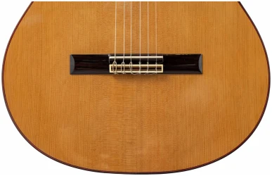 Altamira N300 & Wood Case в Москве c доставкой