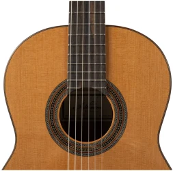 Altamira N500 в Москве c доставкой