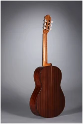 Altamira N200S в Москве c доставкой