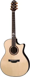 Crafter WF G-1000ce в Москве c доставкой