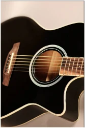 Flight AG-210 CEQ BK в Москве c доставкой