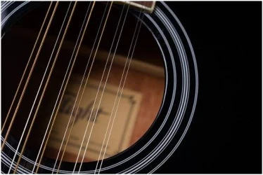 Flight D-200/12 EQ BK в Москве c доставкой