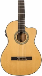 Peavey CNS-CE в Москве c доставкой