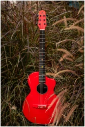 Natasha Asteroid Imperial Red в Москве c доставкой