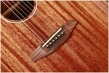 Mollo GAC-22 в Москве c доставкой