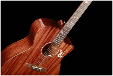 Mollo GAC-22 в Москве c доставкой