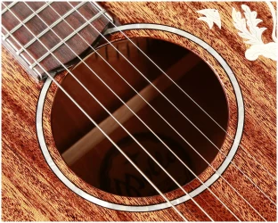 Mollo GAC-22 в Москве c доставкой