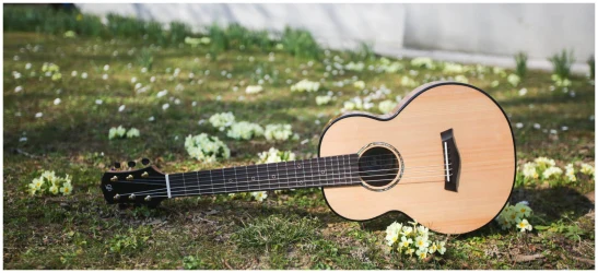 Flight GUT850 в Москве c доставкой