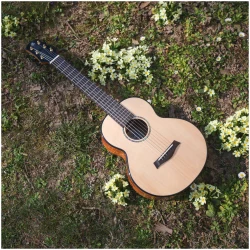 Flight GUT850 в Москве c доставкой