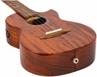 Flight MUSTANG TENOR EQ-A в Москве c доставкой