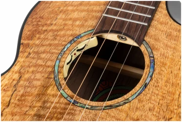 Flight MAIA Baritone EQ-A в Москве c доставкой