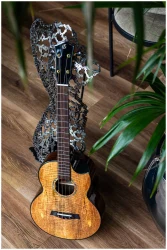 Flight MAIA Baritone EQ-A в Москве c доставкой