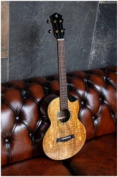 Flight MAIA Baritone EQ-A в Москве c доставкой