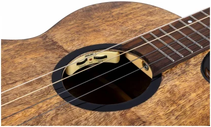 Flight FIREBALL BARITONE EQ-A в Москве c доставкой