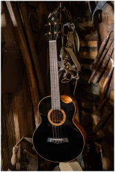 Flight NORA Baritone EQ-A в Москве c доставкой