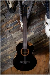 Flight NORA Baritone EQ-A в Москве c доставкой