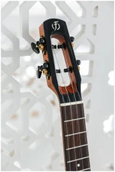 Flight VOYAGER CONCERT EQ-A в Москве c доставкой