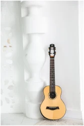 Flight VOYAGER CONCERT EQ-A в Москве c доставкой