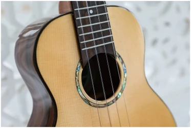 Flight VOYAGER CONCERT EQ-A в Москве c доставкой