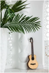 Flight VOYAGER CONCERT EQ-A в Москве c доставкой